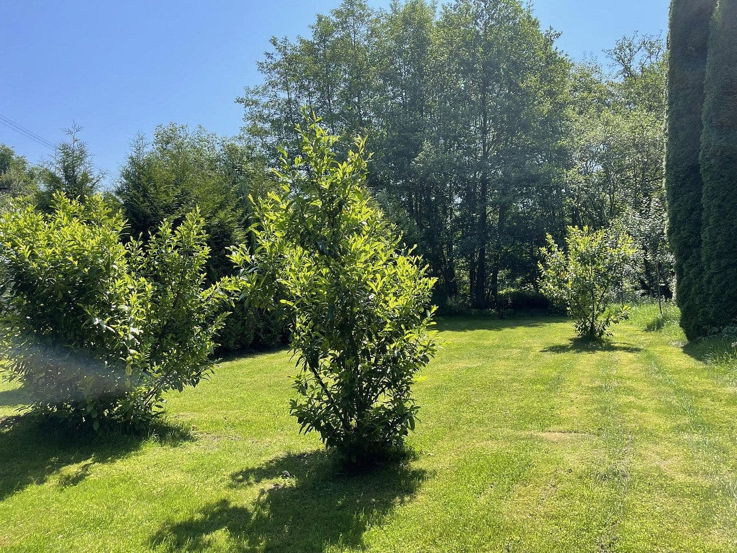 Prodej domu 160 m², pozemek 7.296 m², Gerolstein, Porýní-Falc Prodej domu 160 m², pozemek 7.296 m², Gerolstein, Porýní-Falc