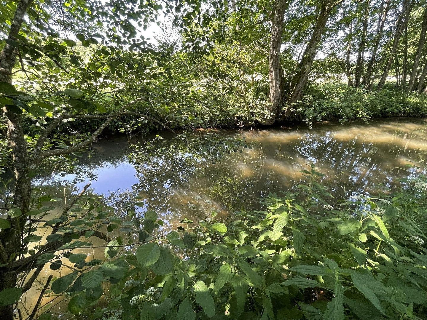 Prodej domu 160 m², pozemek 7.296 m², Gerolstein, Porýní-Falc Prodej domu 160 m², pozemek 7.296 m², Gerolstein, Porýní-Falc