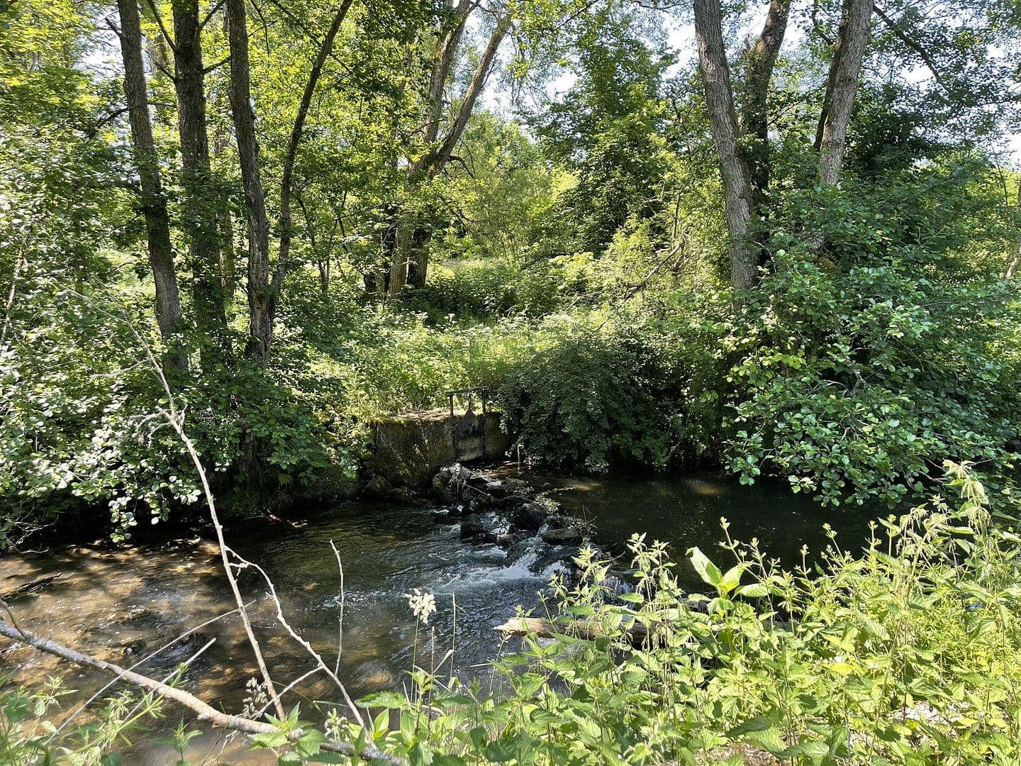 Prodej domu 160 m², pozemek 7.296 m², Gerolstein, Porýní-Falc Prodej domu 160 m², pozemek 7.296 m², Gerolstein, Porýní-Falc