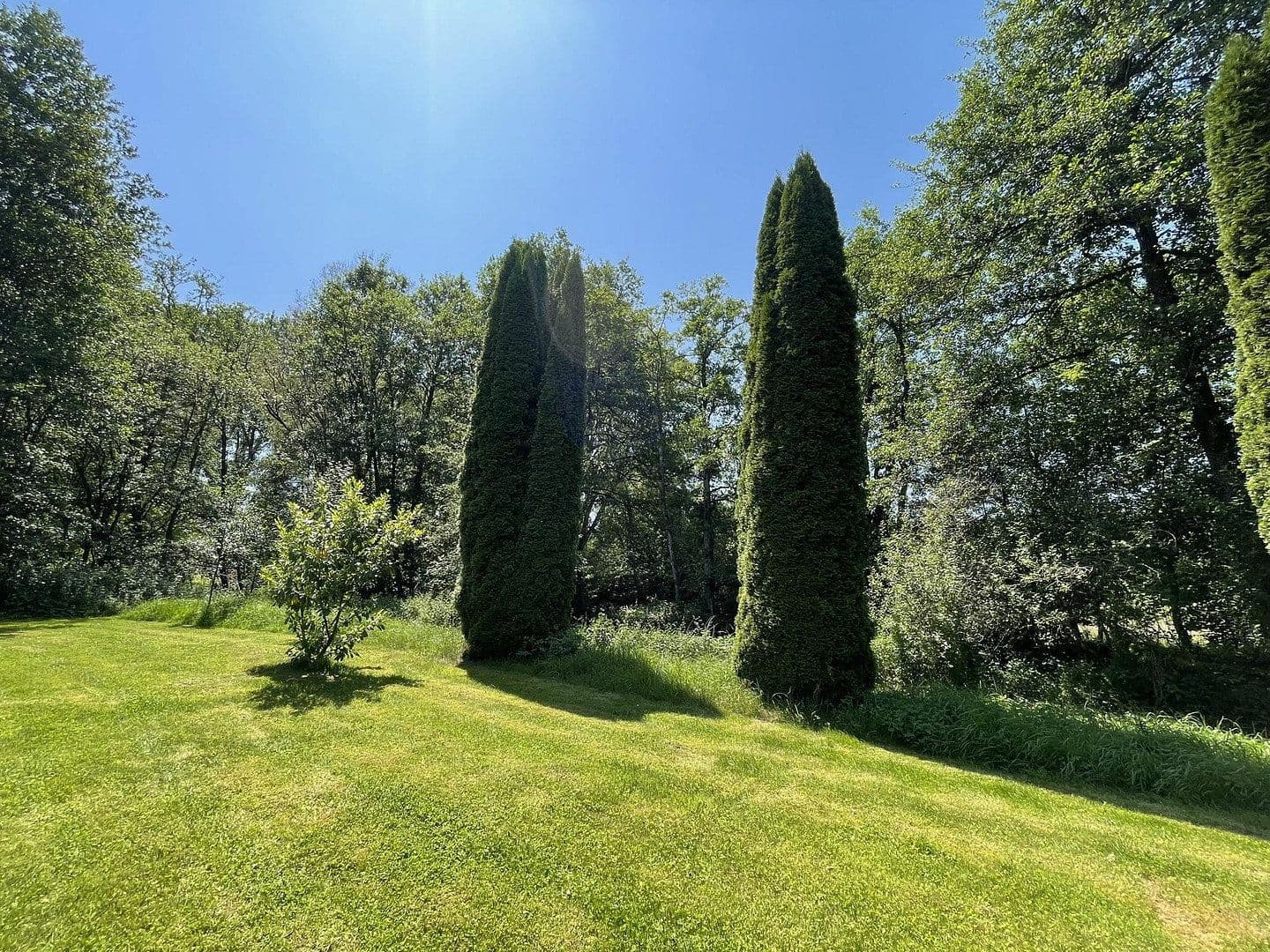 Prodej domu 160 m², pozemek 7.296 m², Gerolstein, Porýní-Falc Prodej domu 160 m², pozemek 7.296 m², Gerolstein, Porýní-Falc