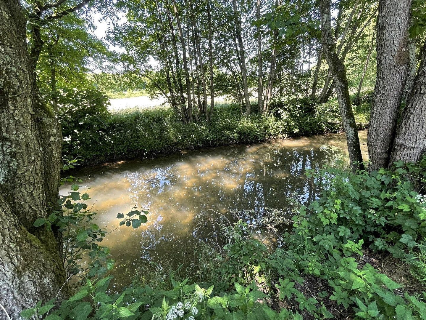 Prodej domu 160 m², pozemek 7.296 m², Gerolstein, Porýní-Falc Prodej domu 160 m², pozemek 7.296 m², Gerolstein, Porýní-Falc