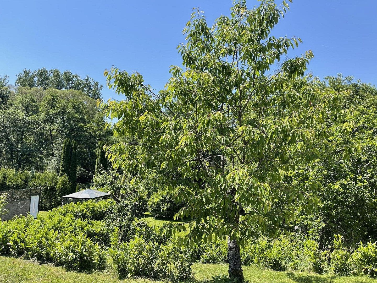 Prodej domu 160 m², pozemek 7.296 m², Gerolstein, Porýní-Falc Prodej domu 160 m², pozemek 7.296 m², Gerolstein, Porýní-Falc