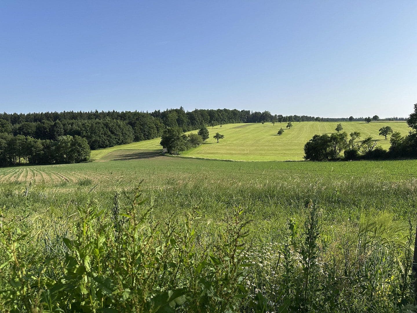 Prodej pozemku 353 m², Enzianweg 30, Schorndorf, Bádensko-Württembersko Prodej pozemku 353 m², Enzianweg 30, Schorndorf, Bádensko-Württembersko