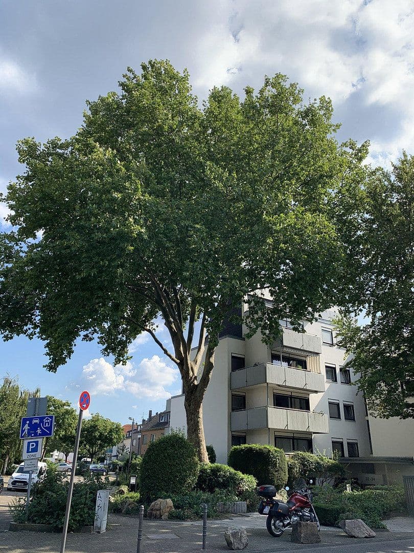 Pronájem bytu 2+kk 92 m², Arndtstraße 32-34, Köln, Severní Porýní-Vestfálsko Pronájem bytu 2+kk 92 m², Arndtstraße 32-34, Köln, Severní Porýní-Vestfálsko
