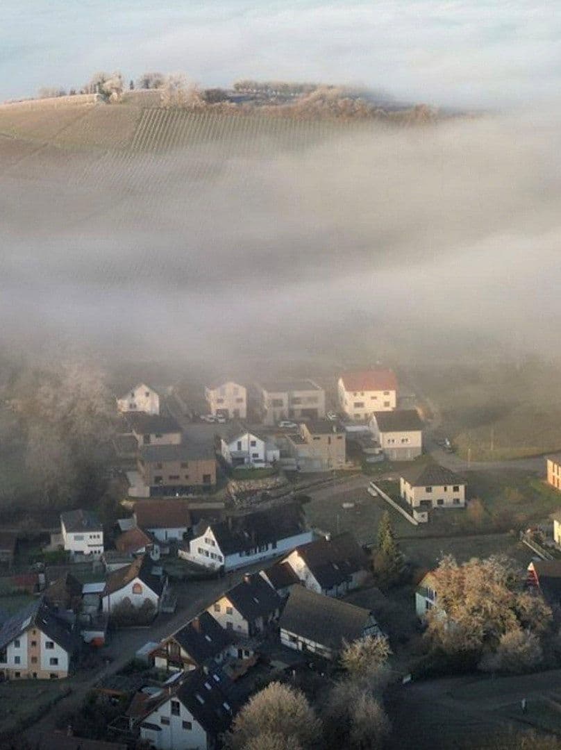 Prodej domu 106 m², pozemek 585 m², Haldengässle 3, Schliengen, Bádensko-Württembersko Prodej domu 106 m², pozemek 585 m², Haldengässle 3, Schliengen, Bádensko-Württembersko