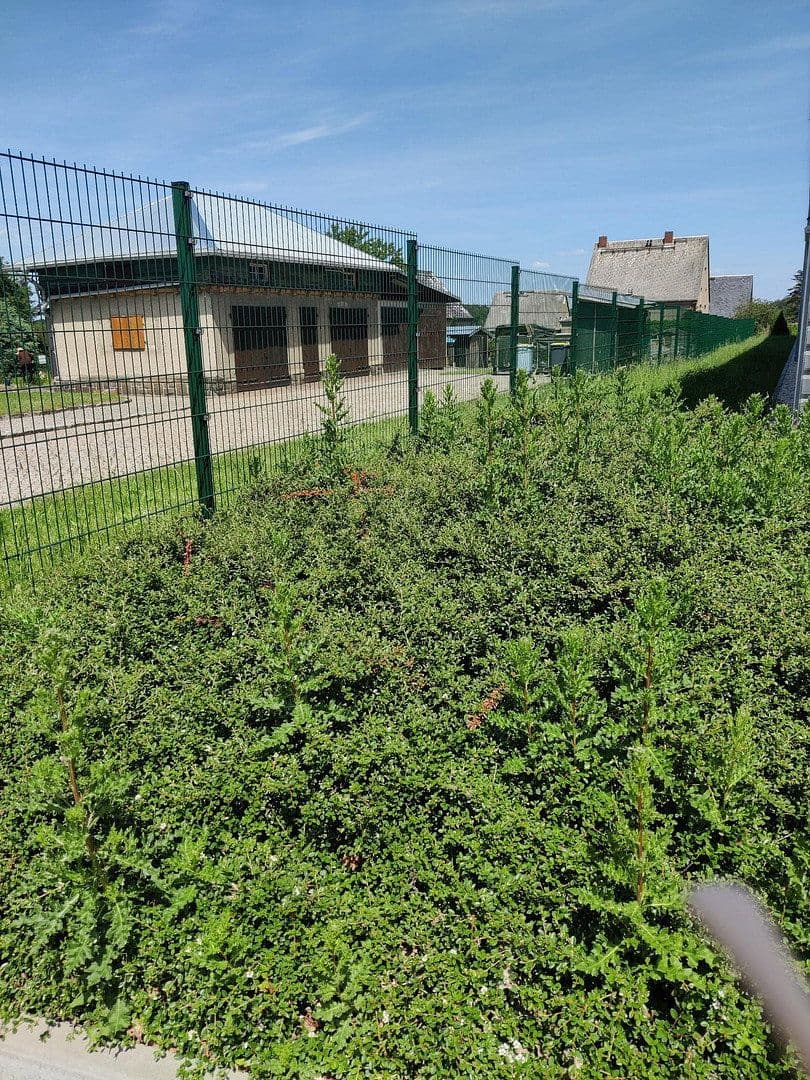 Prodej domu 154 m², pozemek 2.460 m², Chemnitzerstraße 103, Penig, Sasko Prodej domu 154 m², pozemek 2.460 m², Chemnitzerstraße 103, Penig, Sasko