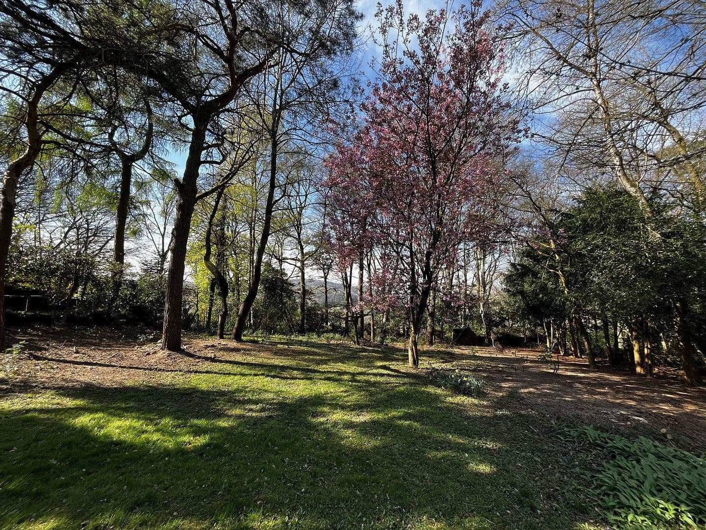 Prodej domu 347 m², pozemek 2.550 m², Overath, Severní Porýní-Vestfálsko Prodej domu 347 m², pozemek 2.550 m², Overath, Severní Porýní-Vestfálsko