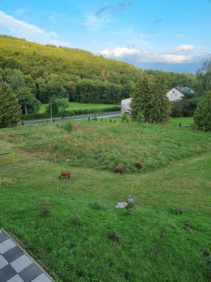 Pronájem nebytového prostoru 2.169 m², Quellenweg 4, Gilserberg, Hessen Pronájem nebytového prostoru 2.169 m², Quellenweg 4, Gilserberg, Hessen