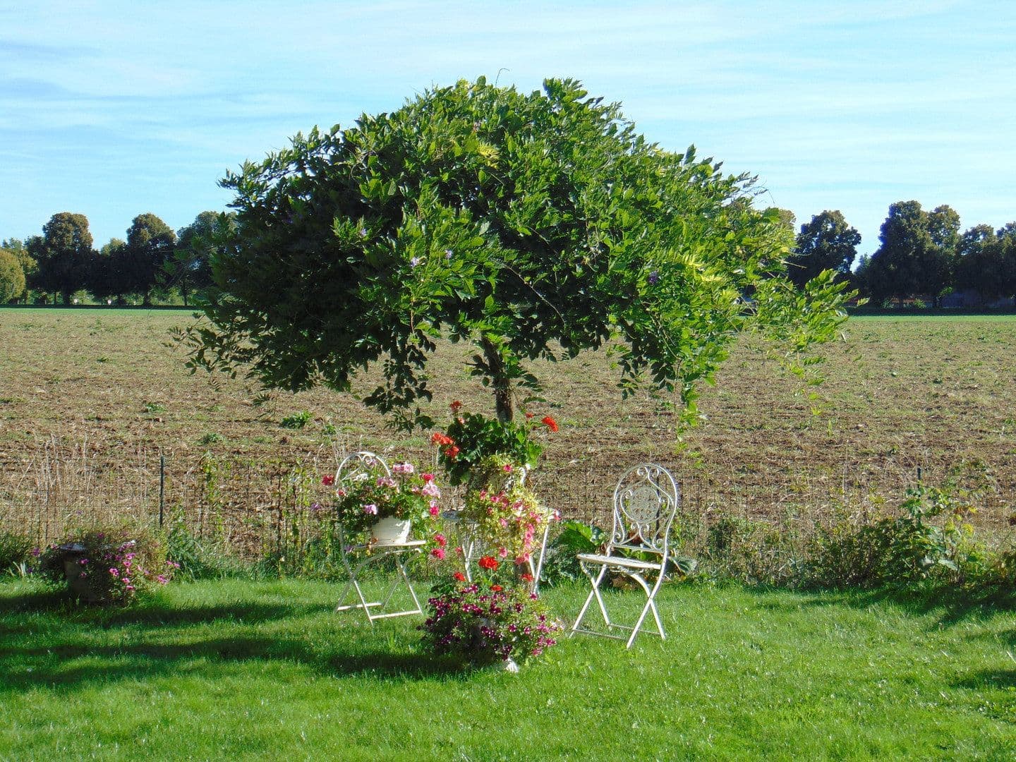 Prodej domu 236 m², pozemek 549 m², Bad Wörishofen, Bavorsko Prodej domu 236 m², pozemek 549 m², Bad Wörishofen, Bavorsko