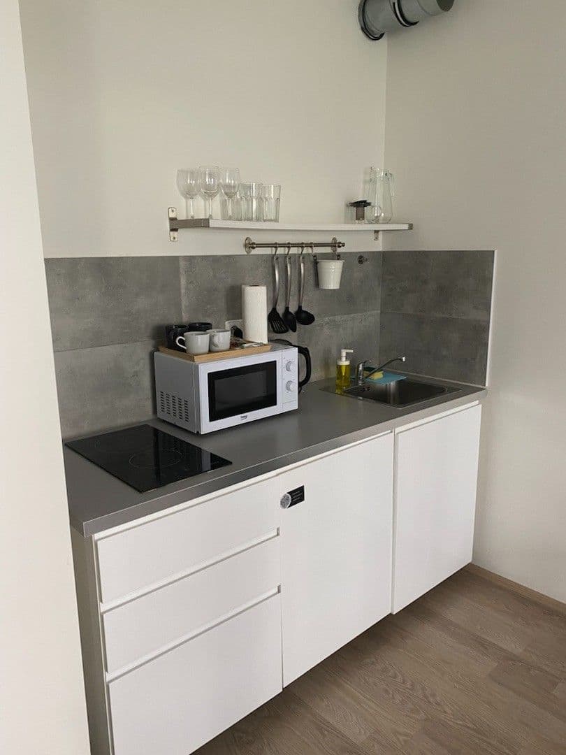Pronájem bytu 1+kk 45 m², U Mlýnského kanálu, Praha, Praha Pronájem bytu 1+kk 45 m², U Mlýnského kanálu, Praha, Praha