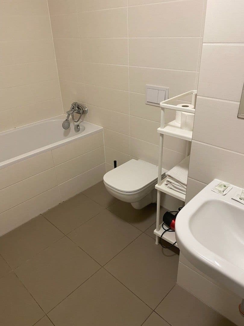 Pronájem bytu 1+kk 45 m², U Mlýnského kanálu, Praha, Praha Pronájem bytu 1+kk 45 m², U Mlýnského kanálu, Praha, Praha