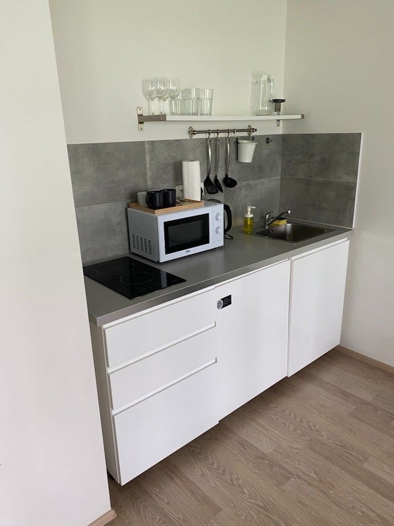 Pronájem bytu 1+kk 45 m², U Mlýnského kanálu, Praha, Praha Pronájem bytu 1+kk 45 m², U Mlýnského kanálu, Praha, Praha