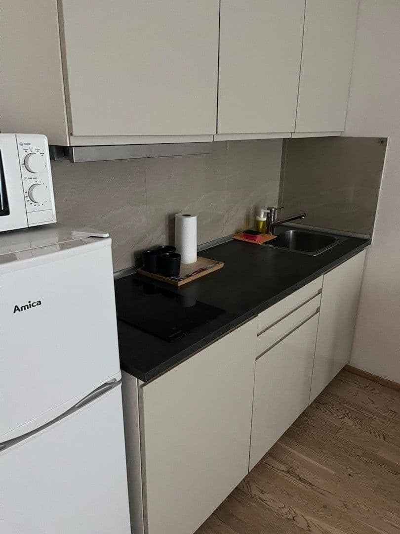 Pronájem bytu 1+kk 35 m², Olšanská, Praha, Praha Pronájem bytu 1+kk 35 m², Olšanská, Praha, Praha