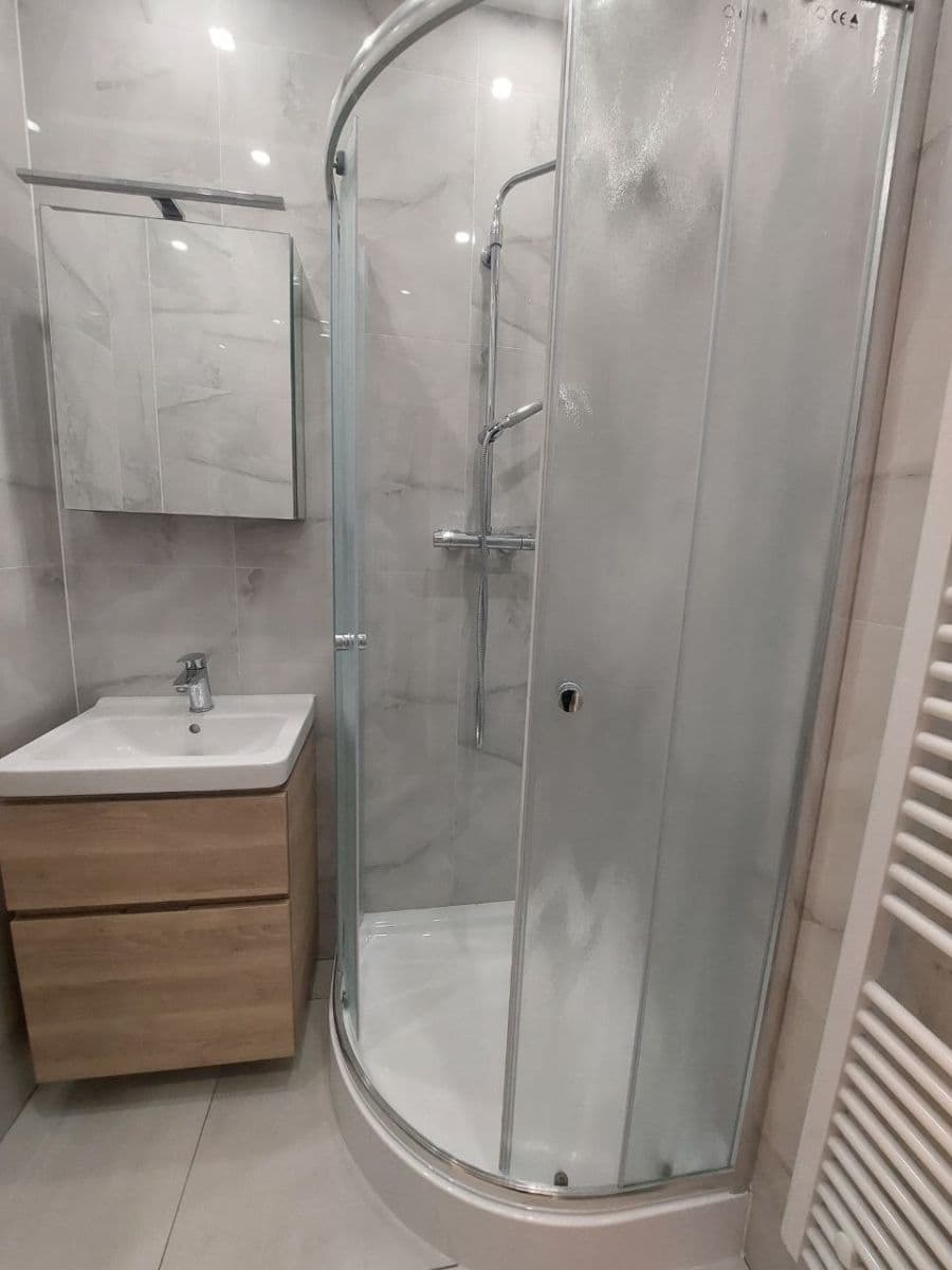 Pronájem bytu 1+1 43 m², Hartigova, Praha, Praha Pronájem bytu 1+1 43 m², Hartigova, Praha, Praha