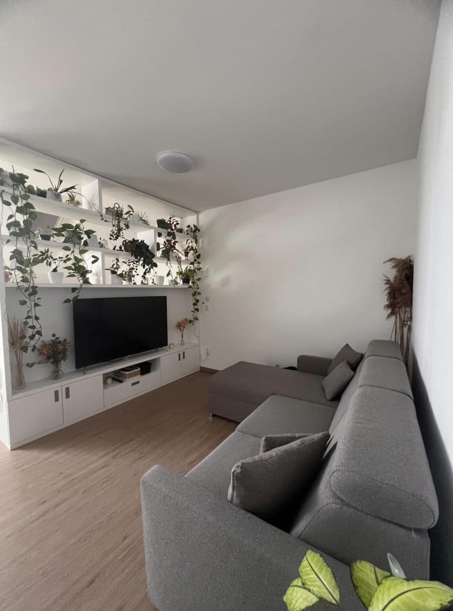 Pronájem bytu 1+kk 37 m², Lazecká, Olomouc, Olomoucký kraj Pronájem bytu 1+kk 37 m², Lazecká, Olomouc, Olomoucký kraj