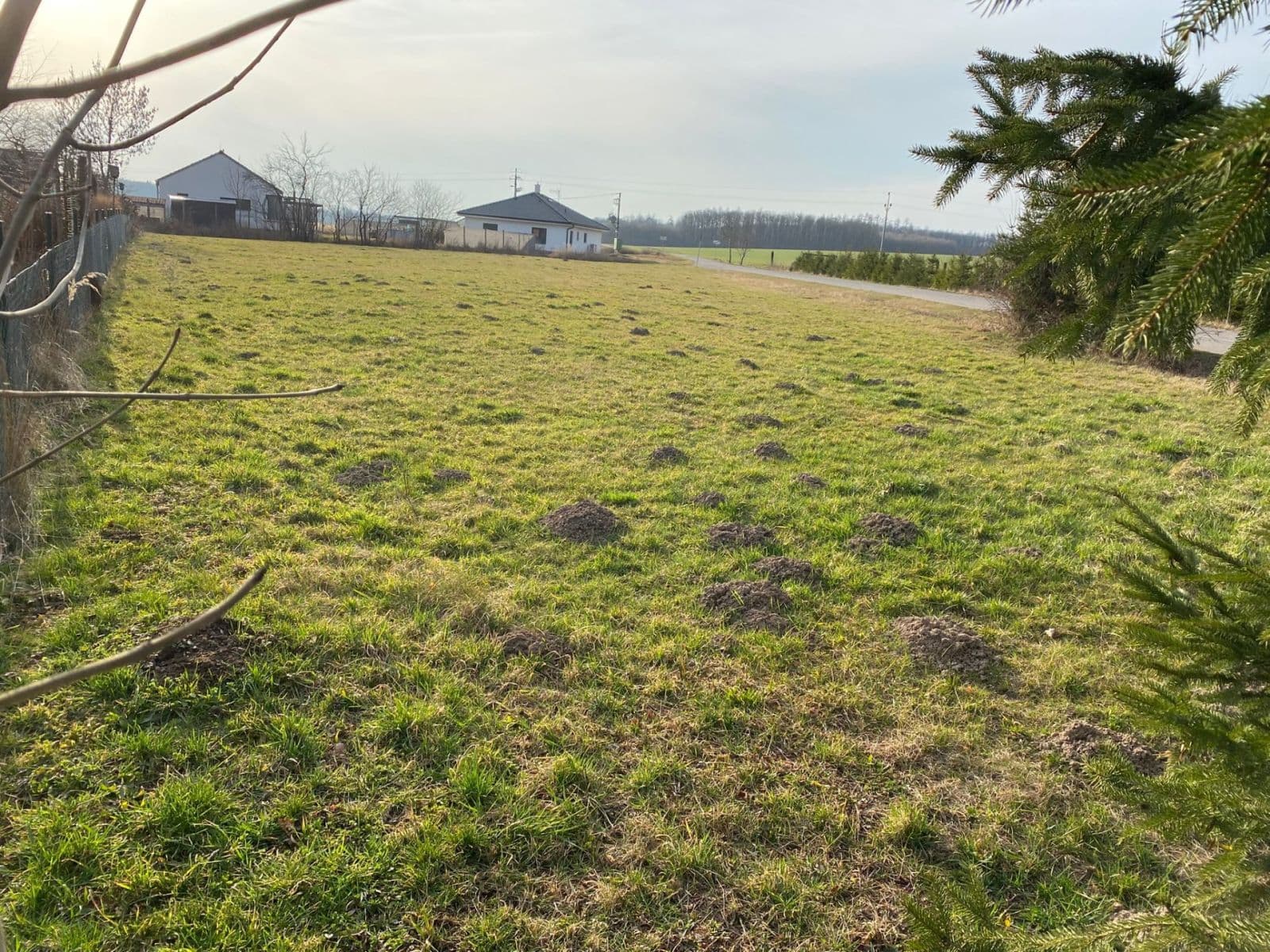 Prodej pozemku 1.700 m², Radíkovice, Královéhradecký kraj Prodej pozemku 1.700 m², Radíkovice, Královéhradecký kraj