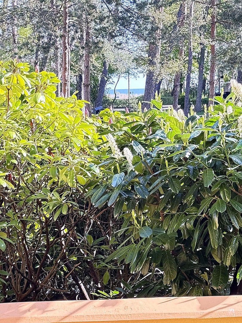Prodej bytu 2+1 53 m², Ostseeallee 40a, Kühlungsborn, Mecklenburg-Vorpommern Prodej bytu 2+1 53 m², Ostseeallee 40a, Kühlungsborn, Mecklenburg-Vorpommern