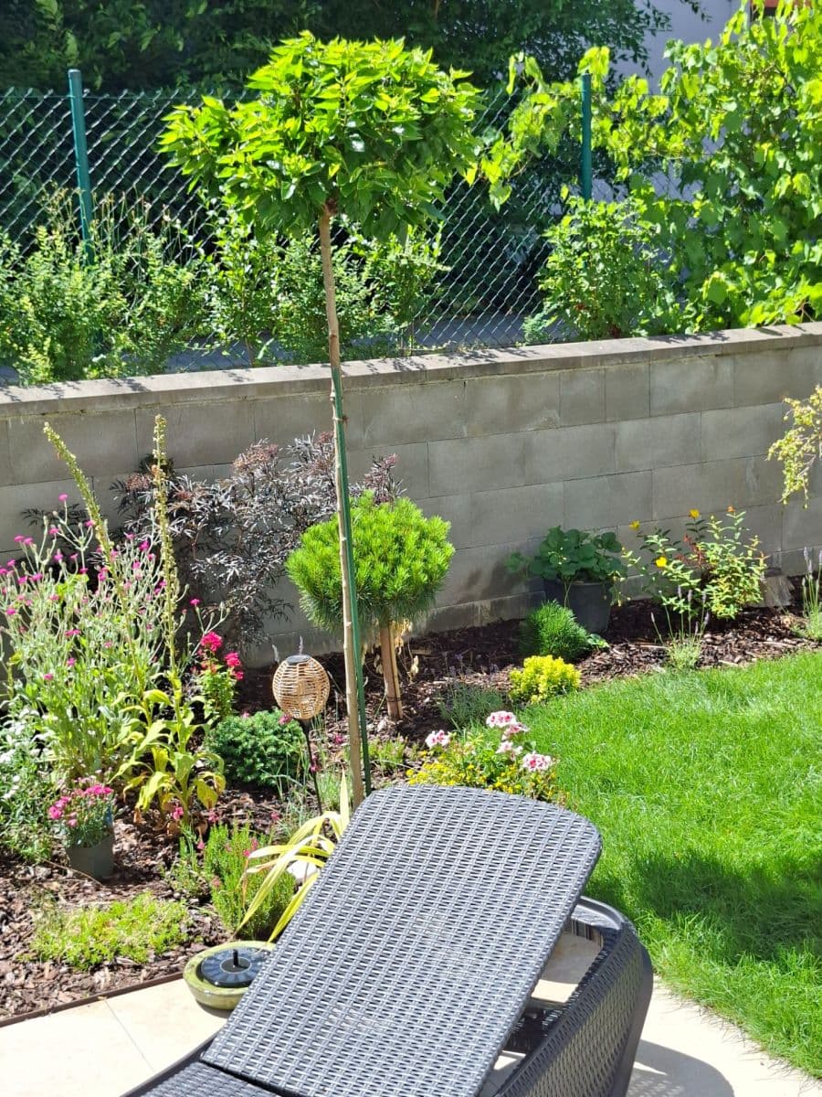 Prodej bytu 2+kk 58 m², K Zelené louce, Plzeň, Plzeňský kraj Prodej bytu 2+kk 58 m², K Zelené louce, Plzeň, Plzeňský kraj