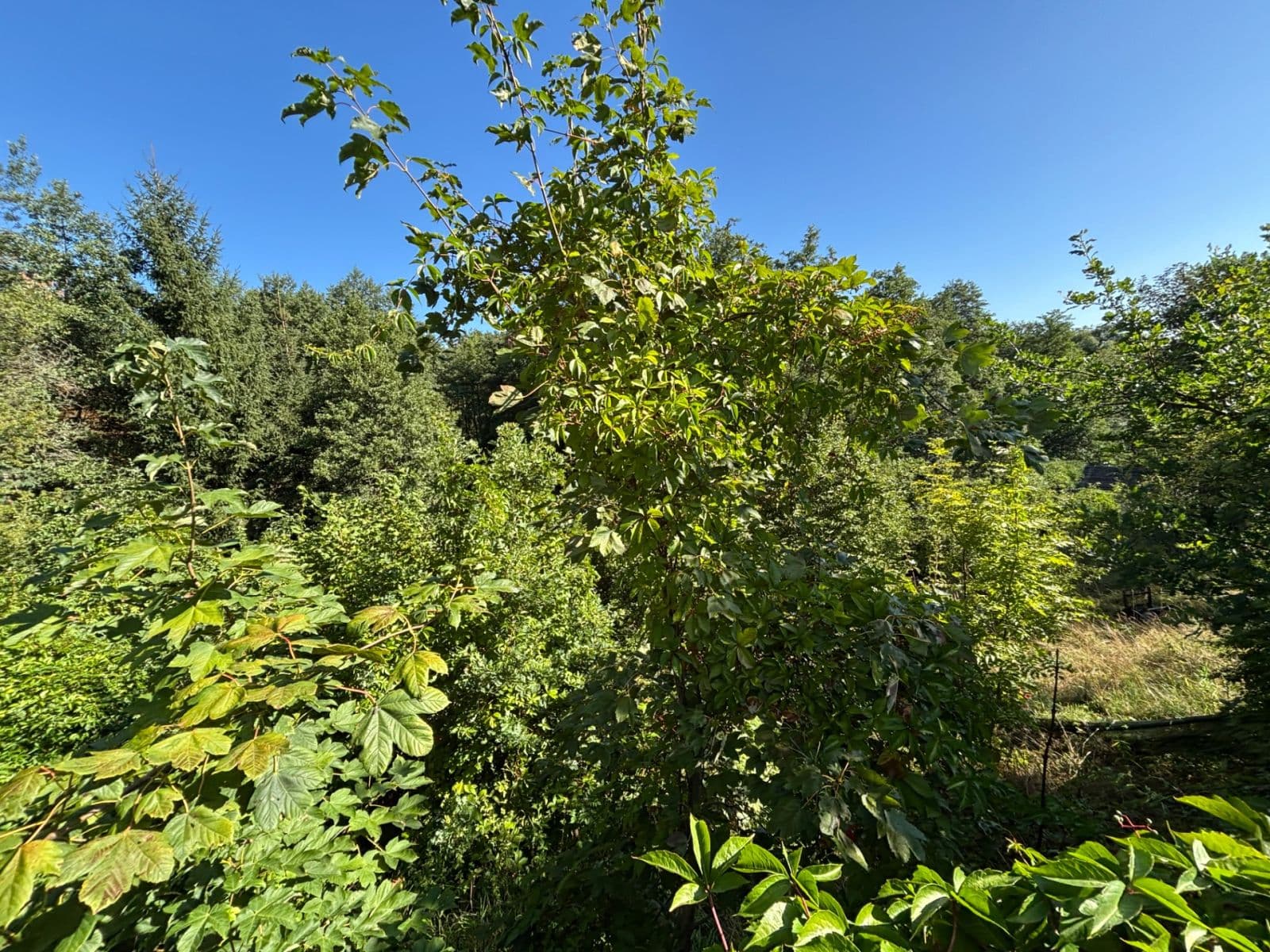 Prodej pozemku 494 m², Dlouhá, Karlovy Vary, Karlovarský kraj Prodej pozemku 494 m², Dlouhá, Karlovy Vary, Karlovarský kraj