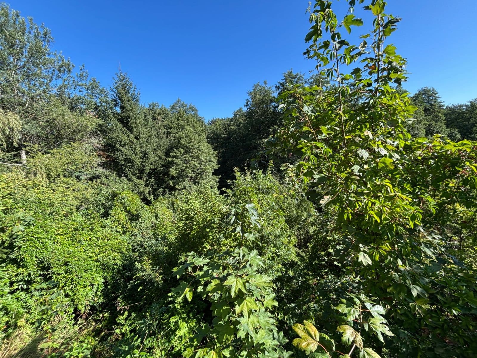 Prodej pozemku 494 m², Dlouhá, Karlovy Vary, Karlovarský kraj Prodej pozemku 494 m², Dlouhá, Karlovy Vary, Karlovarský kraj