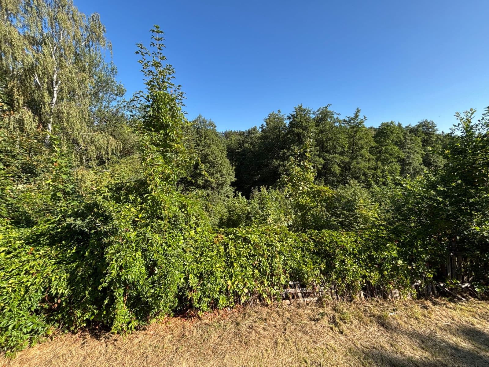 Prodej pozemku 494 m², Dlouhá, Karlovy Vary, Karlovarský kraj Prodej pozemku 494 m², Dlouhá, Karlovy Vary, Karlovarský kraj