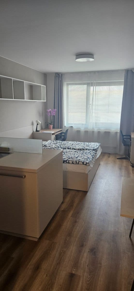 Pronájem bytu 1+kk 40 m², Studentská, Brno, Jihomoravský kraj Pronájem bytu 1+kk 40 m², Studentská, Brno, Jihomoravský kraj