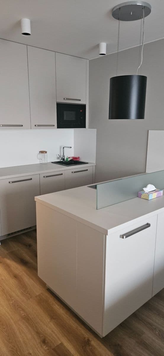 Pronájem bytu 1+kk 40 m², Studentská, Brno, Jihomoravský kraj Pronájem bytu 1+kk 40 m², Studentská, Brno, Jihomoravský kraj