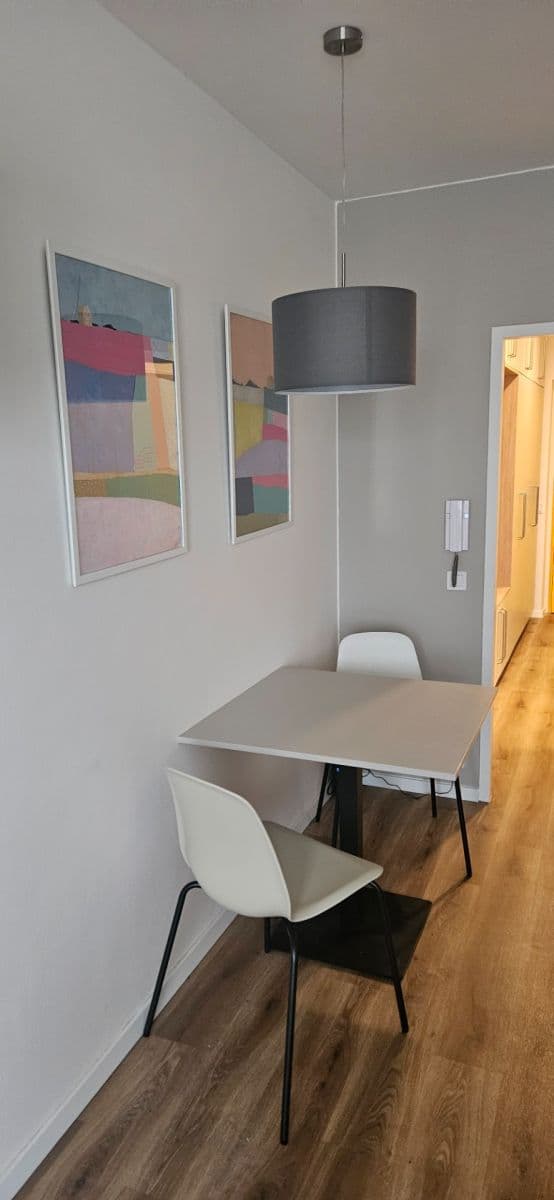 Pronájem bytu 1+kk 40 m², Studentská, Brno, Jihomoravský kraj Pronájem bytu 1+kk 40 m², Studentská, Brno, Jihomoravský kraj