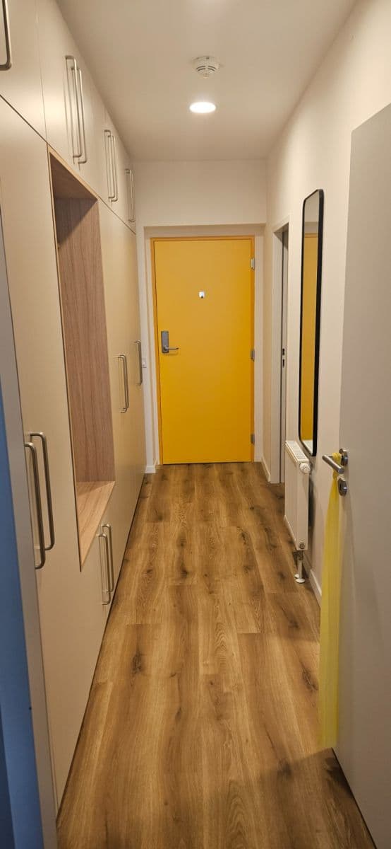 Pronájem bytu 1+kk 40 m², Studentská, Brno, Jihomoravský kraj Pronájem bytu 1+kk 40 m², Studentská, Brno, Jihomoravský kraj