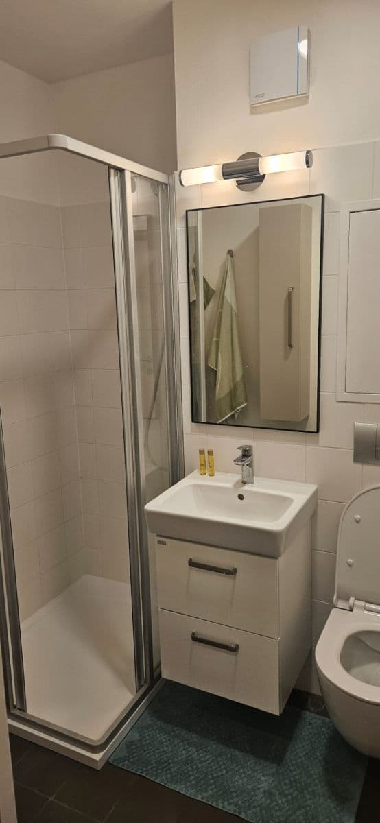 Pronájem bytu 1+kk 40 m², Studentská, Brno, Jihomoravský kraj Pronájem bytu 1+kk 40 m², Studentská, Brno, Jihomoravský kraj
