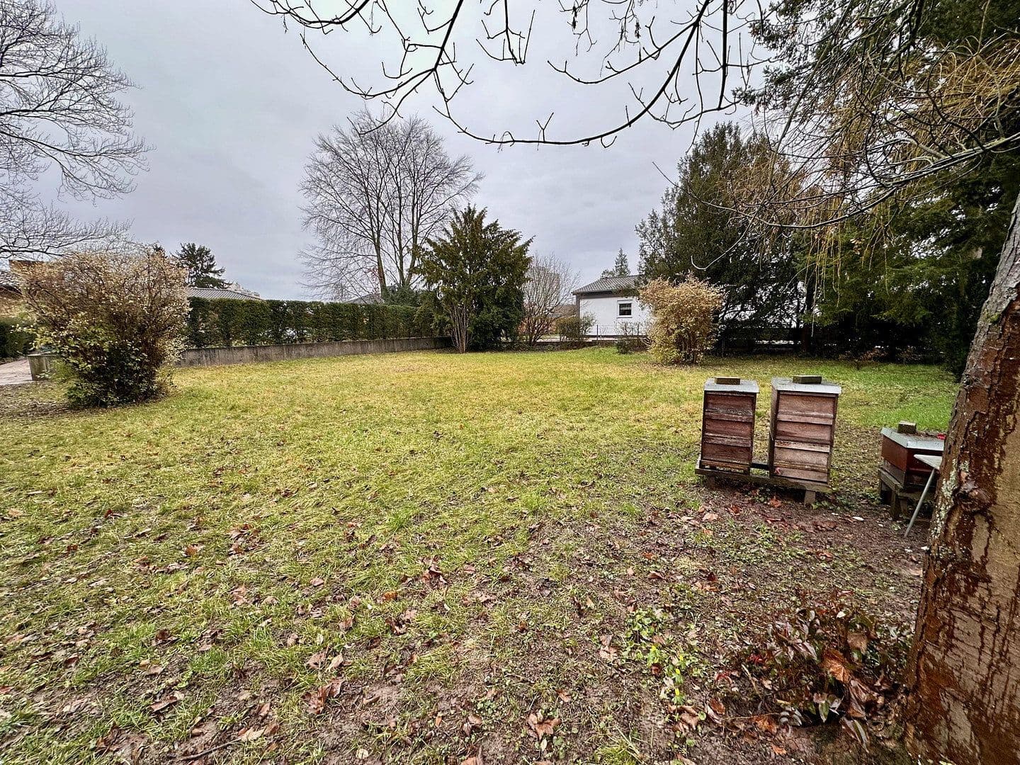 Prodej pozemku 800 m², Matthias-Grünewald-Str. 9, Lampertheim, Hessen Prodej pozemku 800 m², Matthias-Grünewald-Str. 9, Lampertheim, Hessen