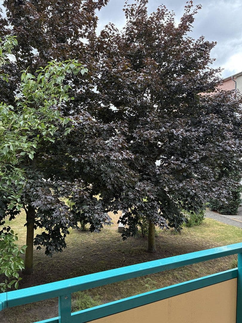 Pronájem bytu 4+1 84 m², Amalienstraße 123, Dessau-Roßlau, Sasko-Anhaltsko Pronájem bytu 4+1 84 m², Amalienstraße 123, Dessau-Roßlau, Sasko-Anhaltsko