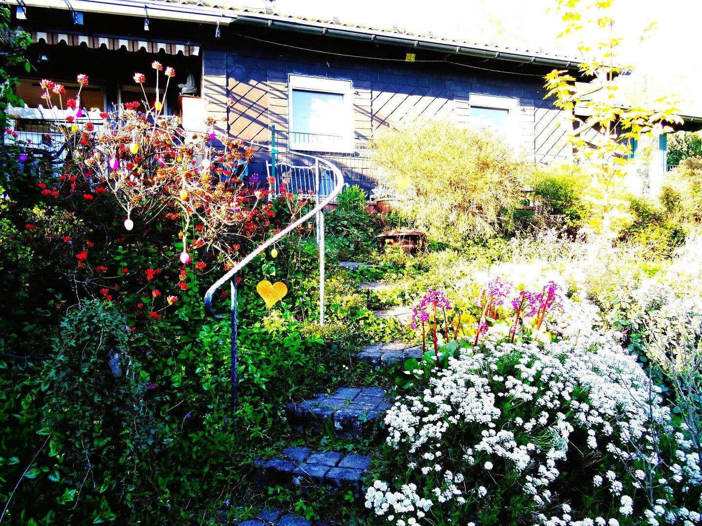 Prodej domu 76 m², pozemek 1.458 m², Windeck, Severní Porýní-Vestfálsko Prodej domu 76 m², pozemek 1.458 m², Windeck, Severní Porýní-Vestfálsko