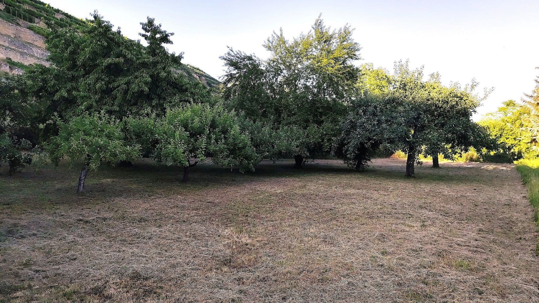 Prodej domu 156 m², pozemek 714 m², Kirchheim am Neckar, Bádensko-Württembersko Prodej domu 156 m², pozemek 714 m², Kirchheim am Neckar, Bádensko-Württembersko