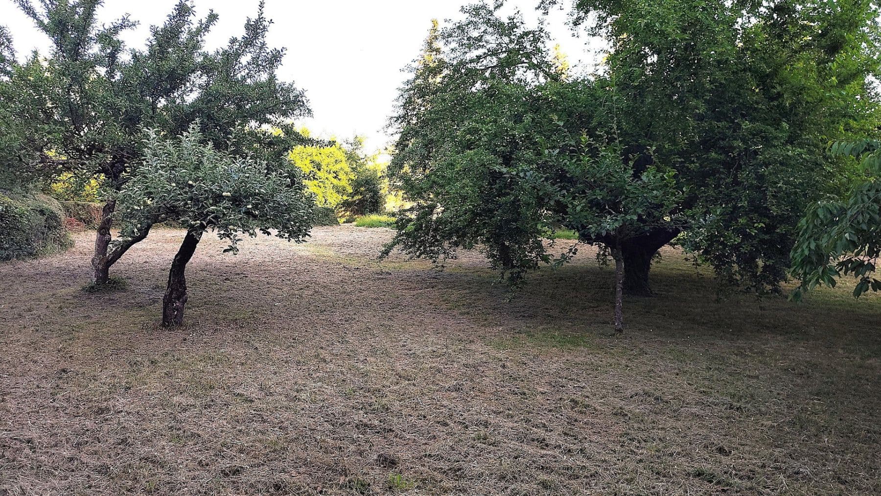 Prodej domu 156 m², pozemek 714 m², Kirchheim am Neckar, Bádensko-Württembersko Prodej domu 156 m², pozemek 714 m², Kirchheim am Neckar, Bádensko-Württembersko