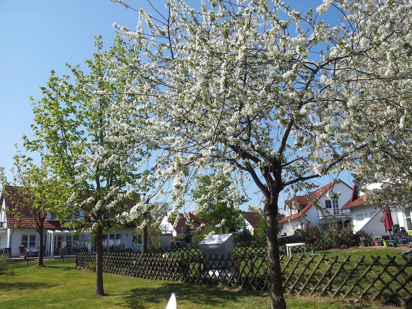 Prodej domu 120 m², pozemek 650 m², Garz/Rügen, Mecklenburg-Vorpommern Prodej domu 120 m², pozemek 650 m², Garz/Rügen, Mecklenburg-Vorpommern