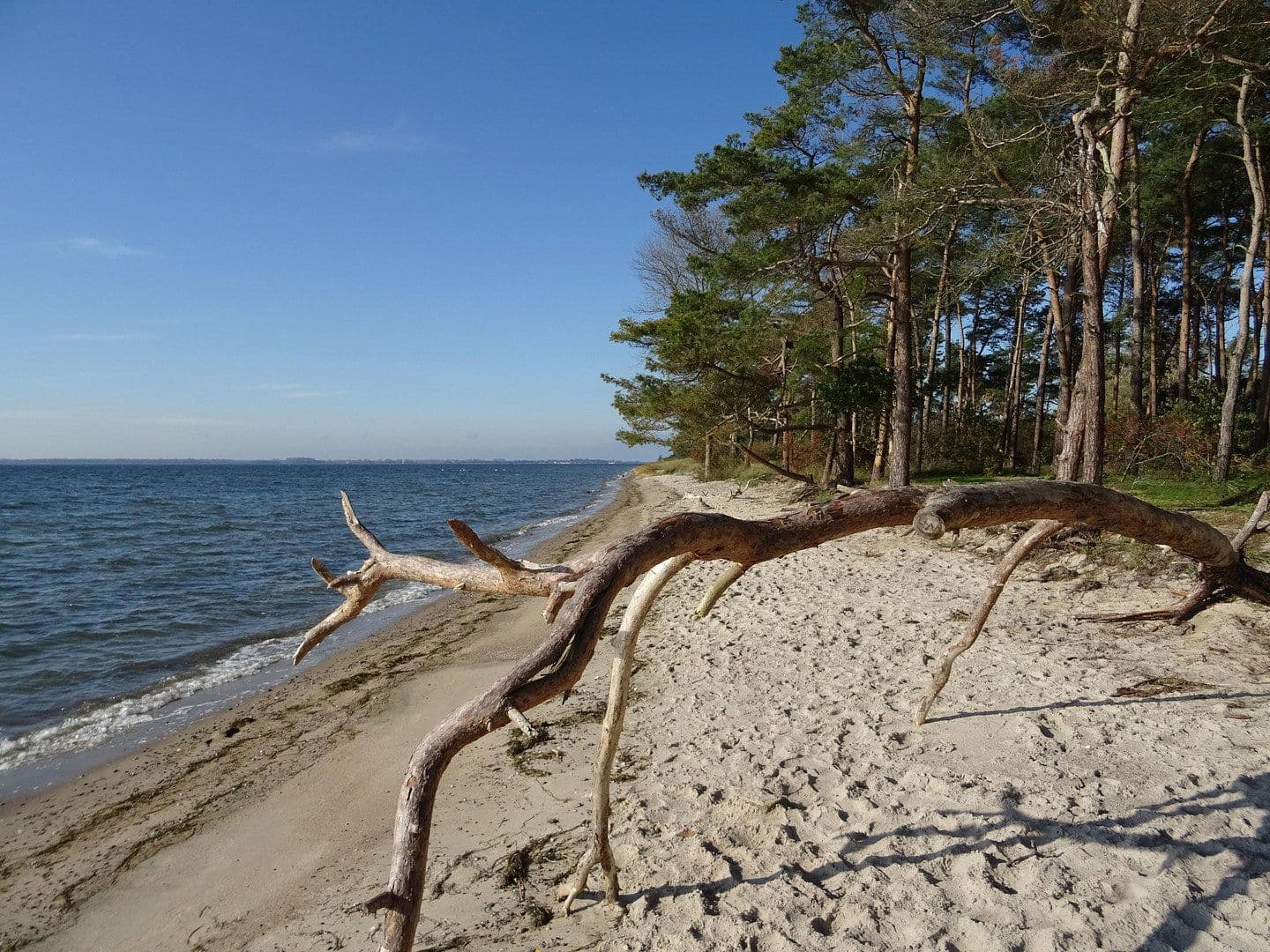 Prodej domu 120 m², pozemek 650 m², Garz/Rügen, Mecklenburg-Vorpommern Prodej domu 120 m², pozemek 650 m², Garz/Rügen, Mecklenburg-Vorpommern