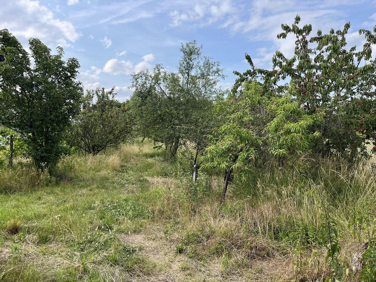 Prodej pozemku 1.800 m², Ludwigshafen am Rhein, Porýní-Falc Prodej pozemku 1.800 m², Ludwigshafen am Rhein, Porýní-Falc