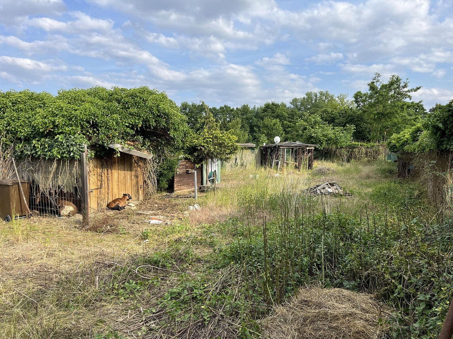 Prodej pozemku 1.800 m², Ludwigshafen am Rhein, Porýní-Falc Prodej pozemku 1.800 m², Ludwigshafen am Rhein, Porýní-Falc