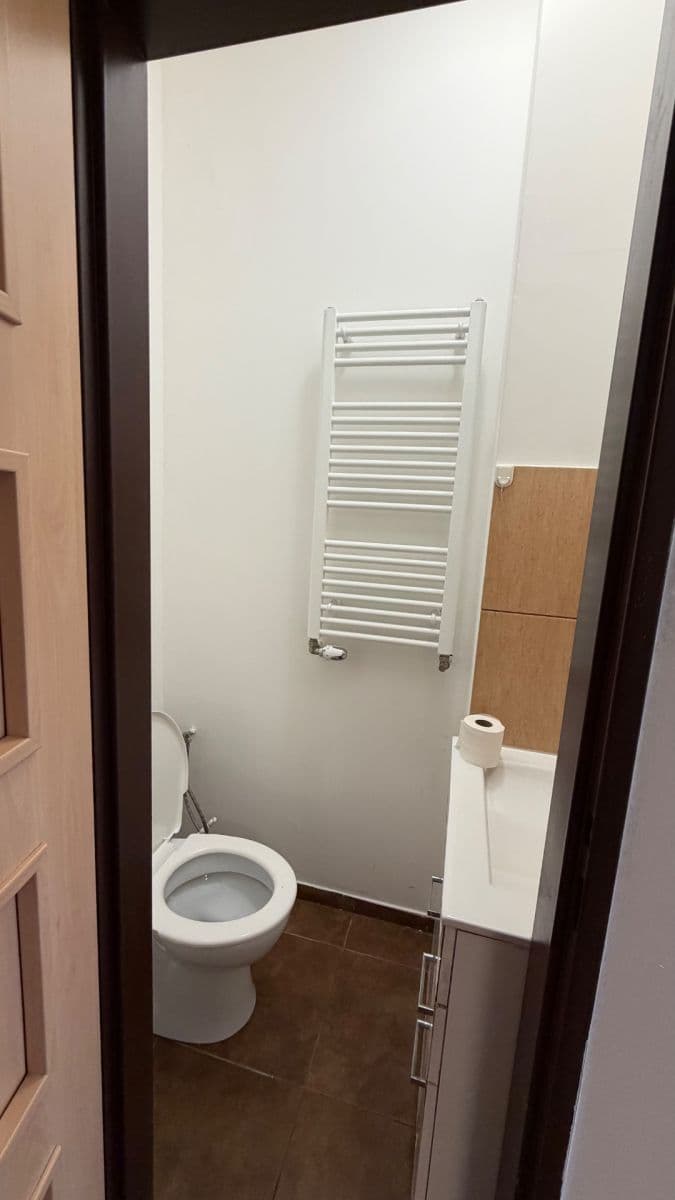 Pronájem bytu 1+1 35 m², Postoloprtská, Louny, Ústecký kraj Pronájem bytu 1+1 35 m², Postoloprtská, Louny, Ústecký kraj