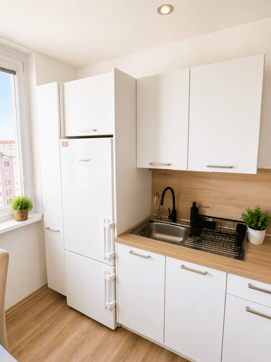 Pronájem bytu 1+1 40 m², Kuršova, Brno, Jihomoravský kraj Pronájem bytu 1+1 40 m², Kuršova, Brno, Jihomoravský kraj