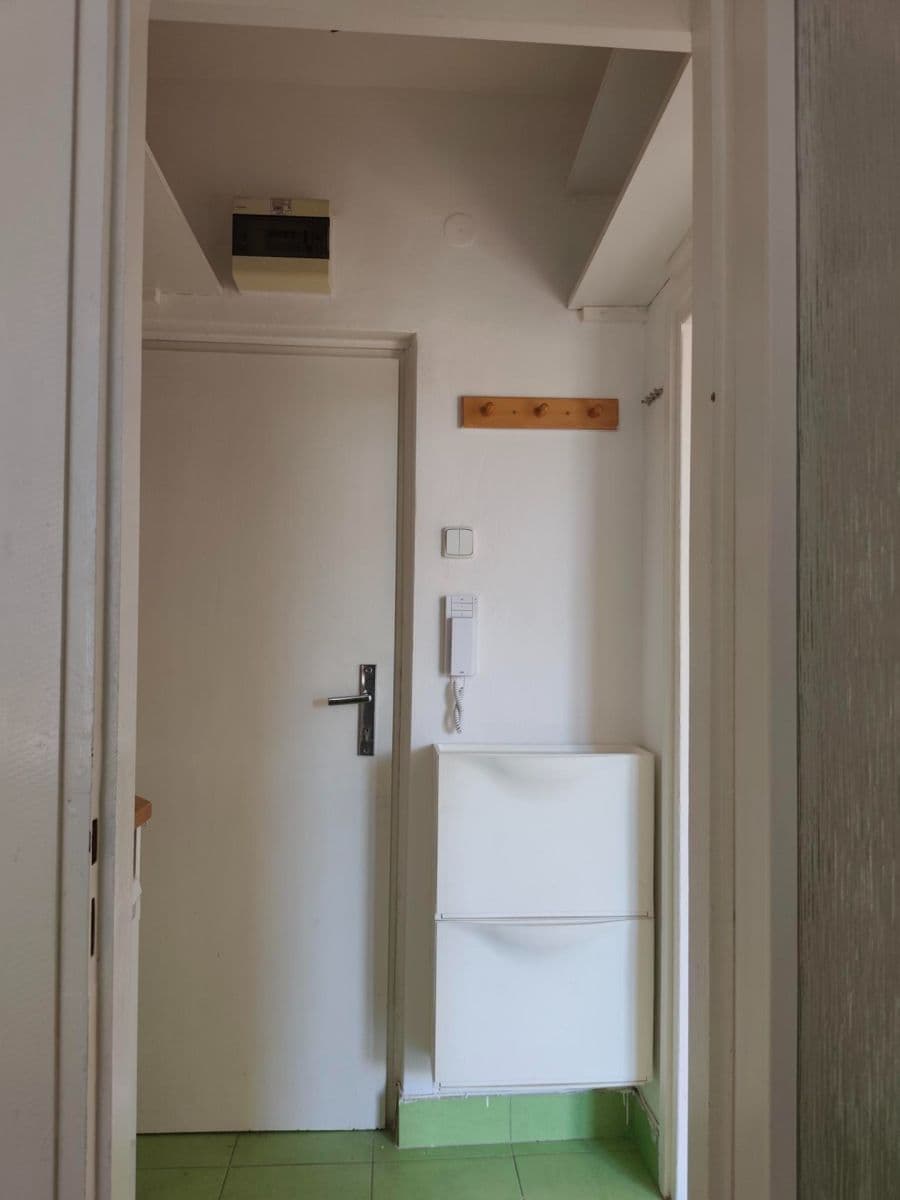 Pronájem bytu Garsoniéra 25 m², Obilní trh, Brno, Jihomoravský kraj Pronájem bytu Garsoniéra 25 m², Obilní trh, Brno, Jihomoravský kraj