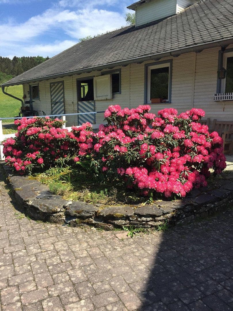 Prodej domu 180 m², pozemek 99.920 m², Geisfeld, Porýní-Falc Prodej domu 180 m², pozemek 99.920 m², Geisfeld, Porýní-Falc