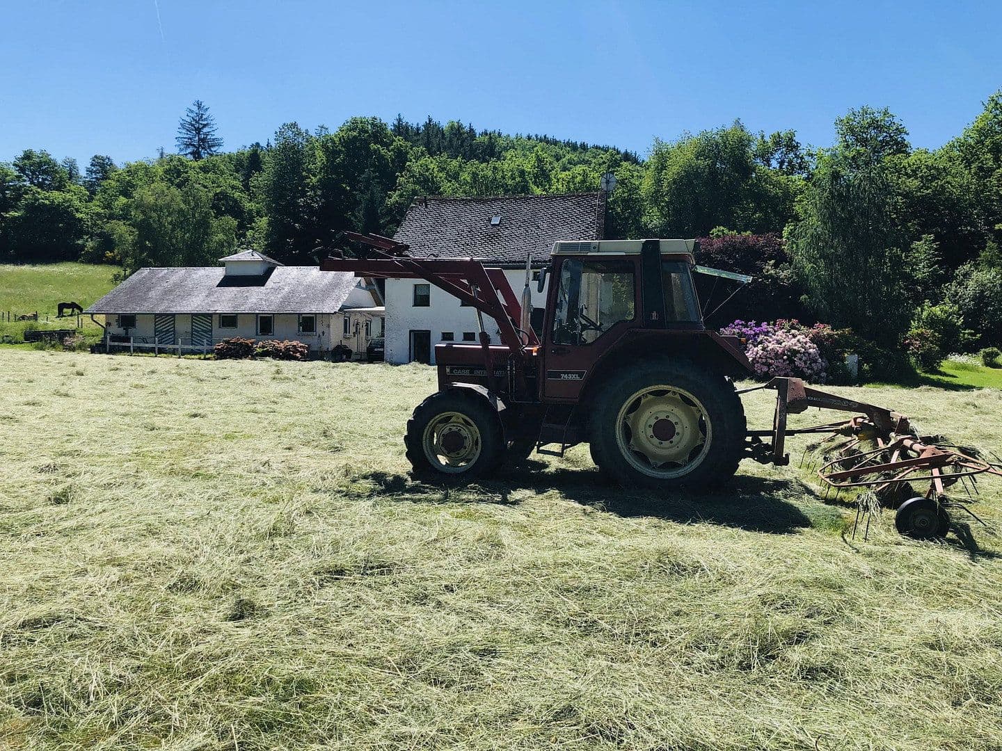 Prodej domu 180 m², pozemek 99.920 m², Geisfeld, Porýní-Falc Prodej domu 180 m², pozemek 99.920 m², Geisfeld, Porýní-Falc