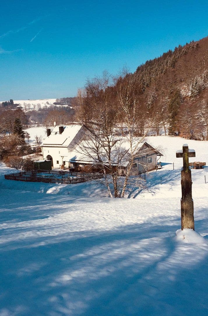 Prodej domu 180 m², pozemek 99.920 m², Geisfeld, Porýní-Falc Prodej domu 180 m², pozemek 99.920 m², Geisfeld, Porýní-Falc