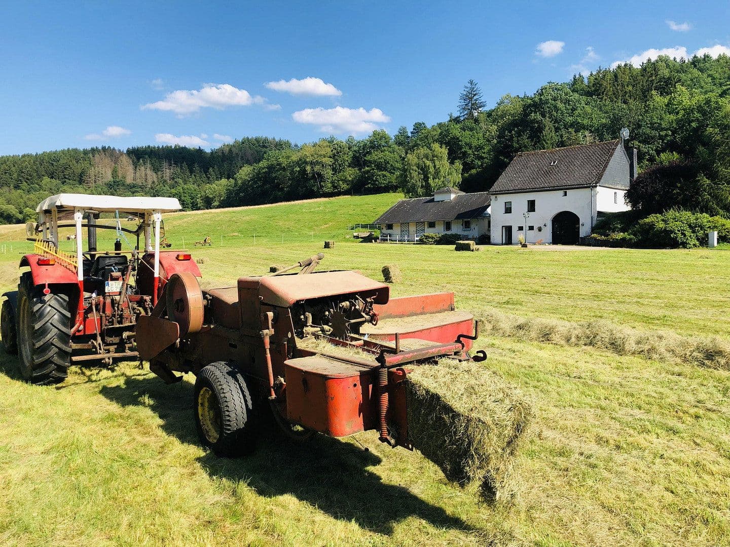 Prodej domu 180 m², pozemek 99.920 m², Geisfeld, Porýní-Falc Prodej domu 180 m², pozemek 99.920 m², Geisfeld, Porýní-Falc