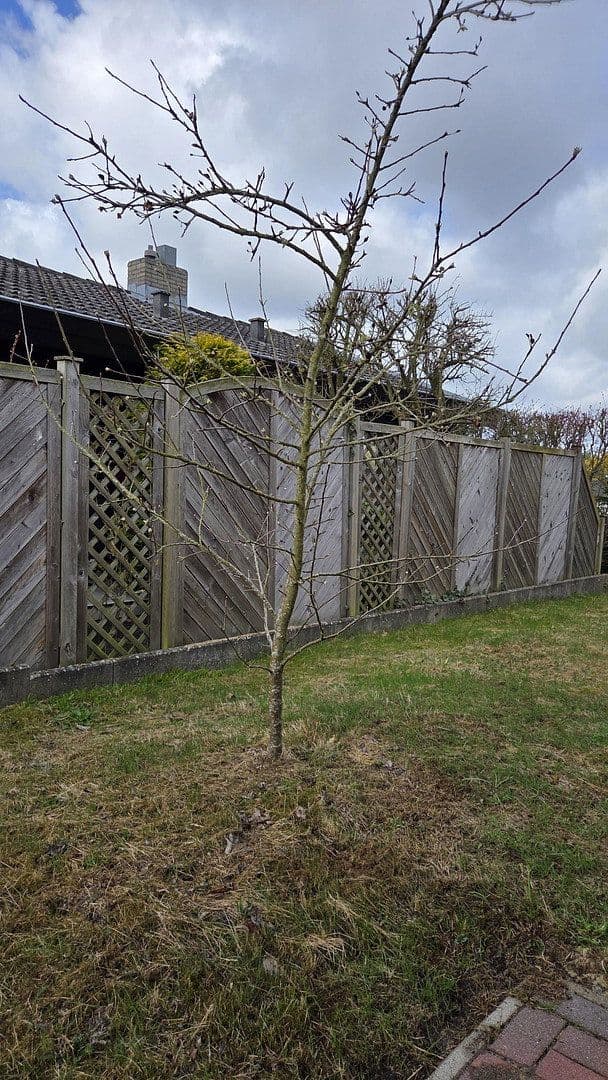 Prodej domu 100 m², pozemek 600 m², Buxtehude, Dolní Sasko Prodej domu 100 m², pozemek 600 m², Buxtehude, Dolní Sasko