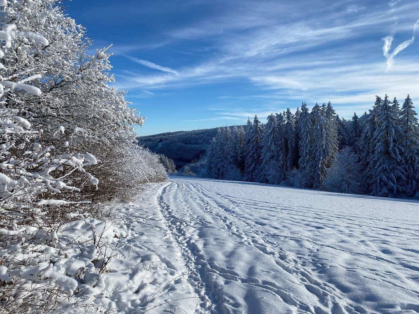 Pronájem bytu 2+1 58 m², Delleweg 21, Winterberg, Severní Porýní-Vestfálsko Pronájem bytu 2+1 58 m², Delleweg 21, Winterberg, Severní Porýní-Vestfálsko