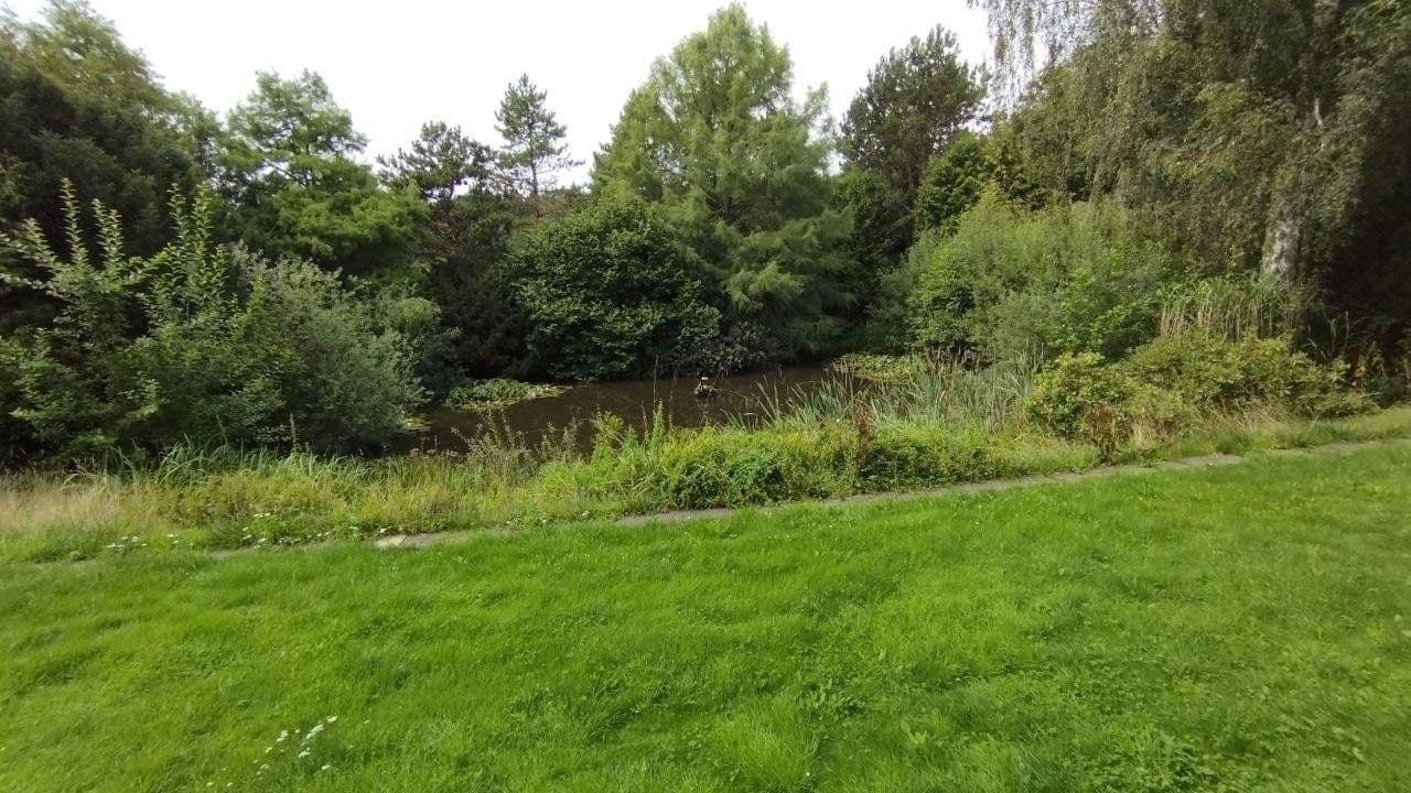 Prodej domu 350 m², pozemek 4.900 m², Holtsee, Šlesvicko-Holštýnsko Prodej domu 350 m², pozemek 4.900 m², Holtsee, Šlesvicko-Holštýnsko