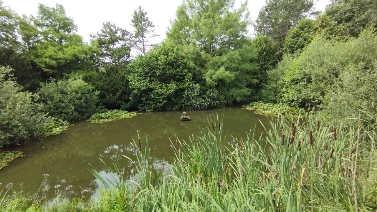 Prodej domu 350 m², pozemek 4.900 m², Holtsee, Šlesvicko-Holštýnsko Prodej domu 350 m², pozemek 4.900 m², Holtsee, Šlesvicko-Holštýnsko